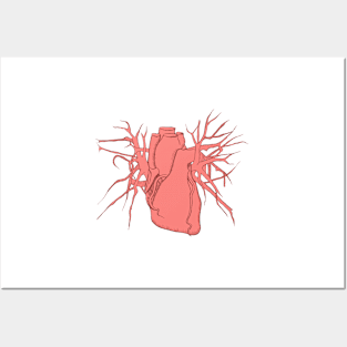 Pink Anatomic Heart Posters and Art